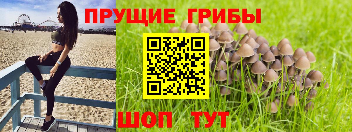 Галлюциногенные грибы Magic Shrooms Магадан