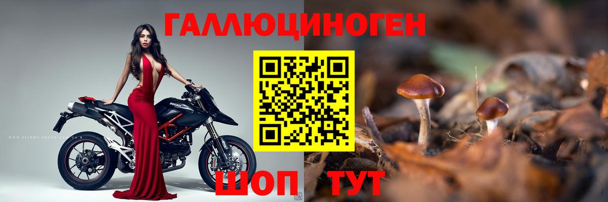 Галлюциногенные грибы Cubensis  Вход с VPN  Магадан 